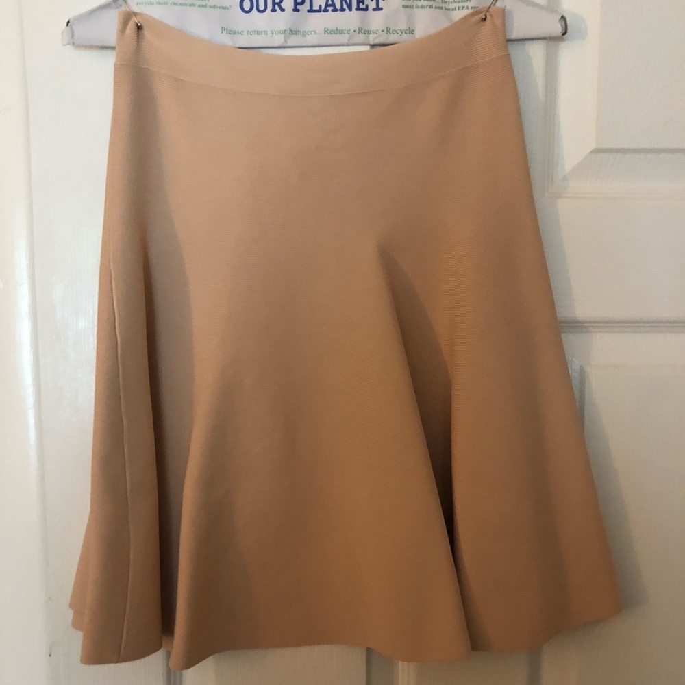 BCBG Ingrid A Line Skirt Nude Pink